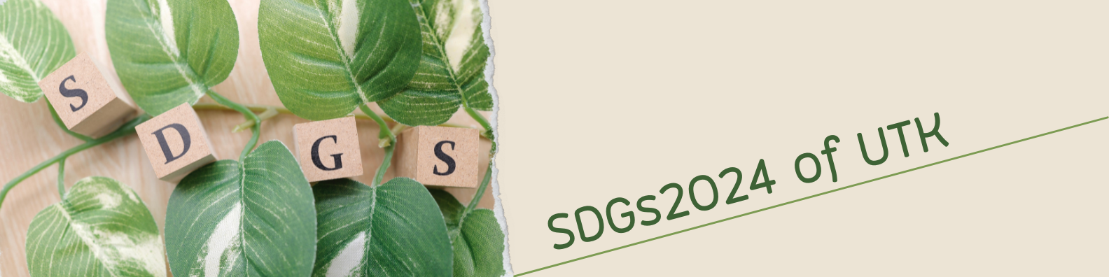 โครงการ SDGs2024 of UTK